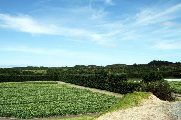 Photo of property in 3167 State Highway 1, Pukenui, Kaitaia, 0484