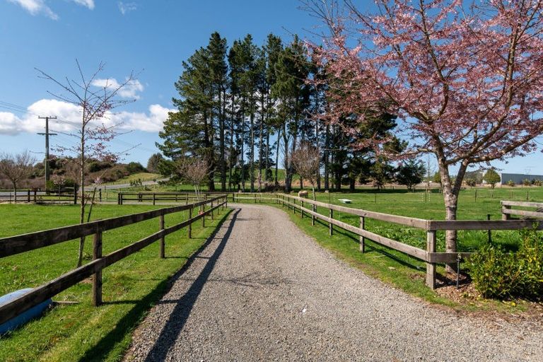 Photo of property in 196 Ash Pit Road, Rerewhakaaitu, Rotorua, 3073