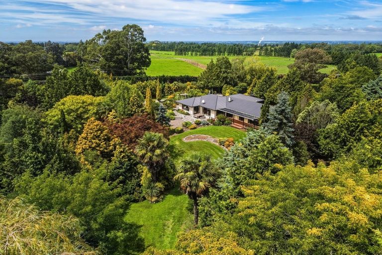 Photo of property in 125 Forestry Road, Ashley, Rangiora, 7477
