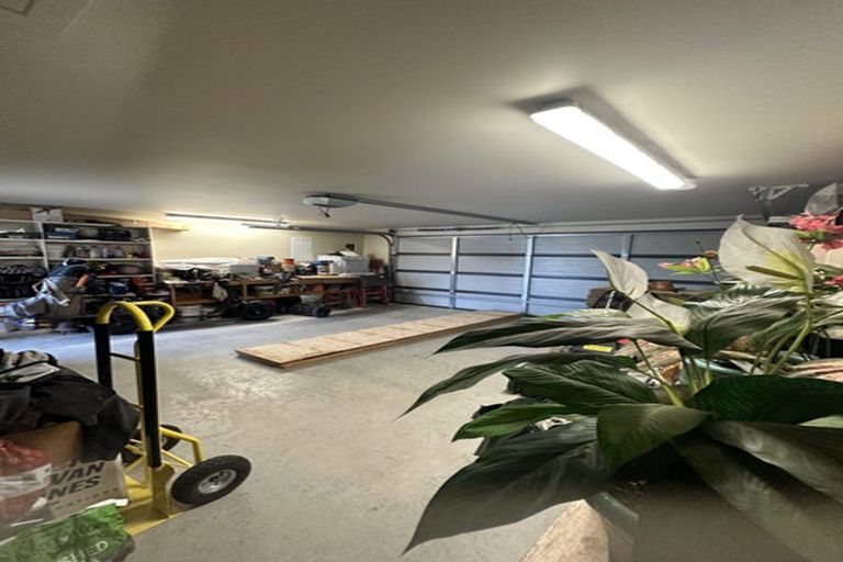 Photo of property in 24 Dale Street, Kaiapoi, 7630