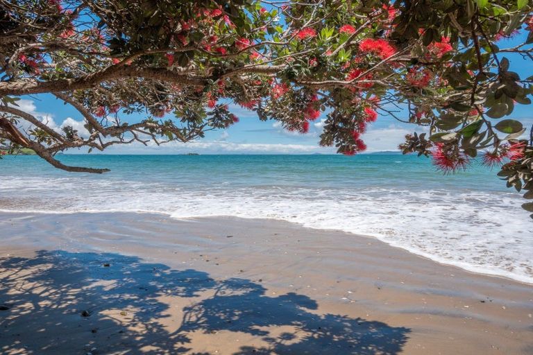 Photo of property in 22 Kupe Road, Coopers Beach, 0420