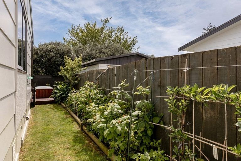 Photo of property in 8 Kaimai Place, Hairini, Tauranga, 3112