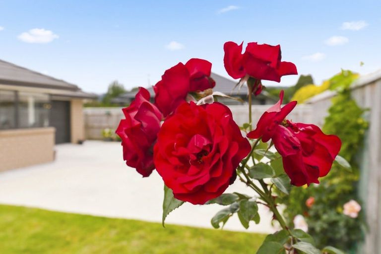 Photo of property in 4 Hawera Avenue, Levin, 5510