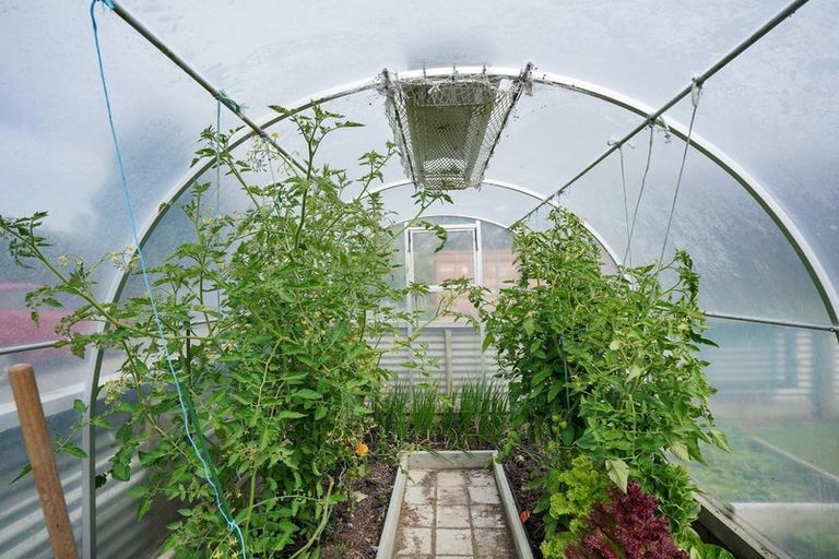 Photo of property in 110 Otatara Road, New River Ferry, Invercargill, 9879