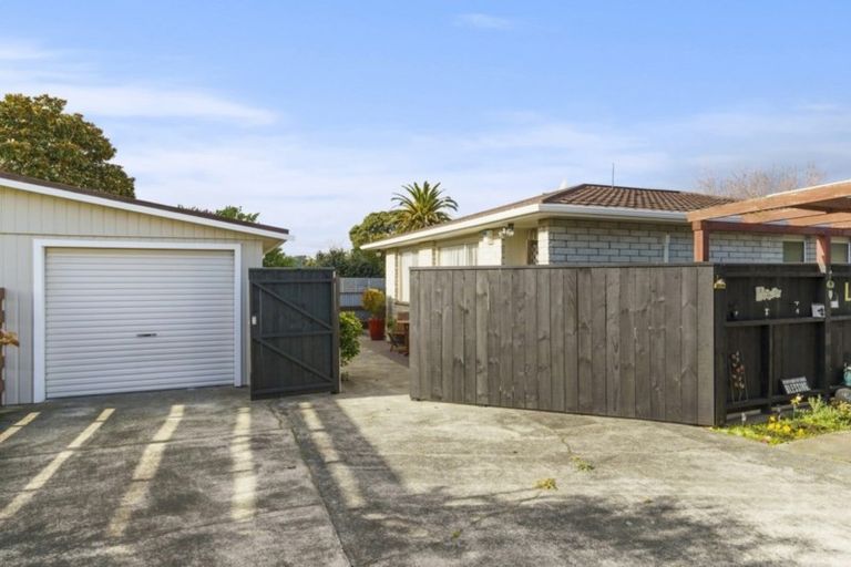 Photo of property in 24b Fitzherbert Avenue, Springvale, Whanganui, 4501