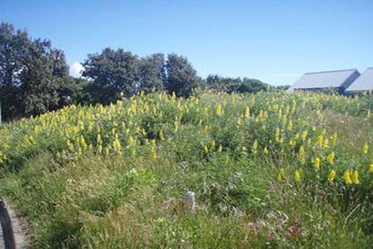 Photo of property in 12 Marram Way, Peka Peka, Waikanae, 5391