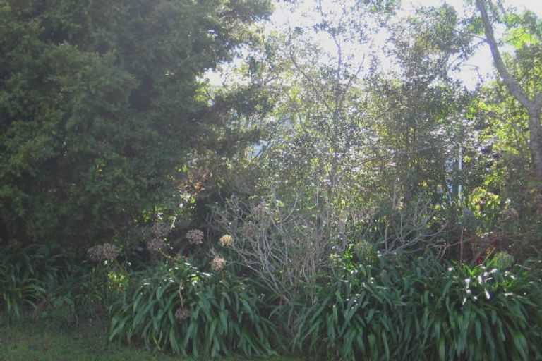 Photo of property in 33 Routley Drive, Glen Eden, Auckland, 0602