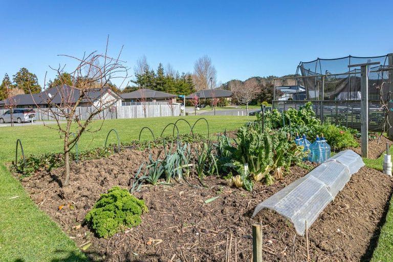 Photo of property in 89 Greenhills Drive, Coromandel, 3506