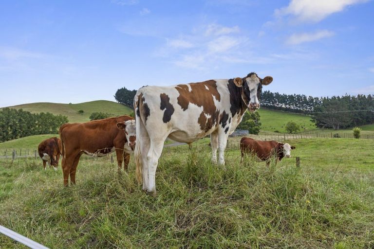 Photo of property in 26 Puriri Road, Waerenga, Te Kauwhata, 3782