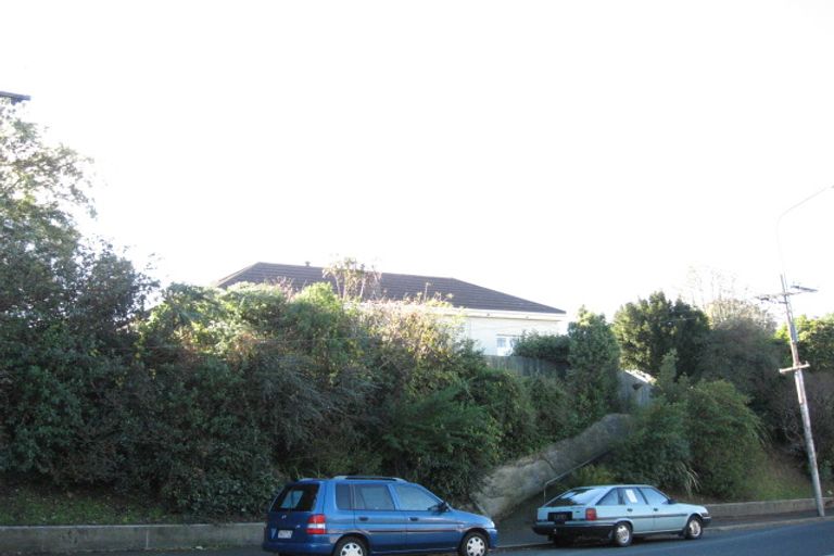 Photo of property in 61 Mailer Street, Mornington, Dunedin, 9011