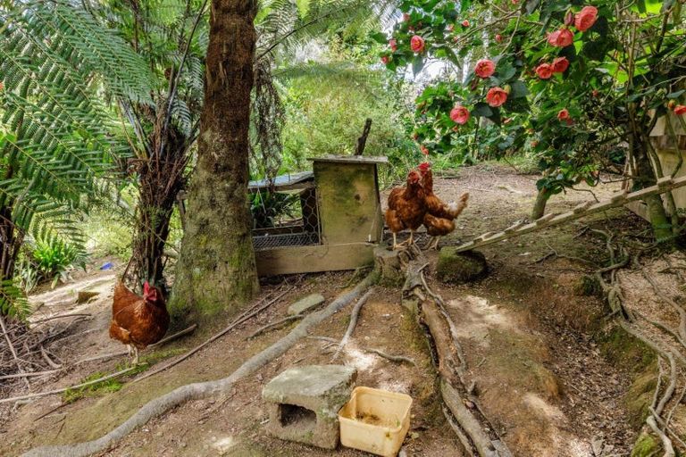 Photo of property in 2 Beaufort Street, Opua, 0200