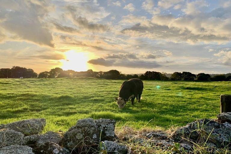 Photo of property in 121 Muir Avenue, Mangere Bridge, Auckland, 2022