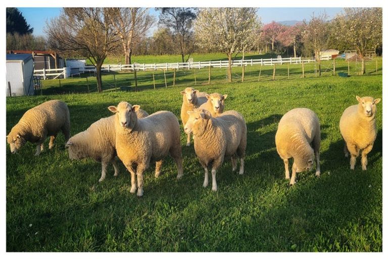 Photo of property in 45 Bryant Road, Brightwater, 7022