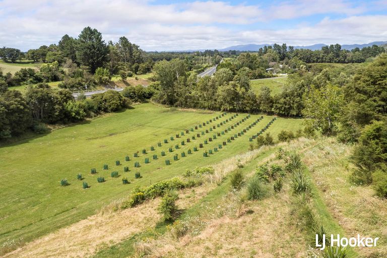 Photo of property in 787 State Highway 2, Tanners Point, Katikati, 3170