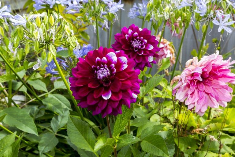 Photo of property in 4c Guiness Street, Avalon, Lower Hutt, 5011