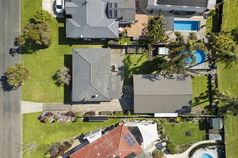 Photo of property in 38 Barry Avenue, Whakatane, 3120