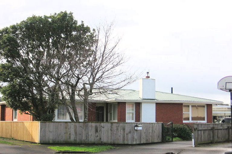 Photo of property in 29 Leicester Street, Terrace End, Palmerston North, 4410