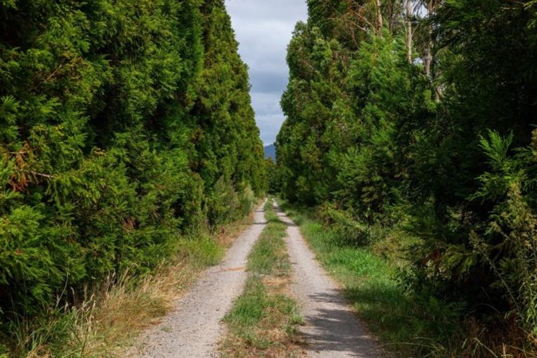 Photo of property in 76 Bell Road, Papamoa, 3187