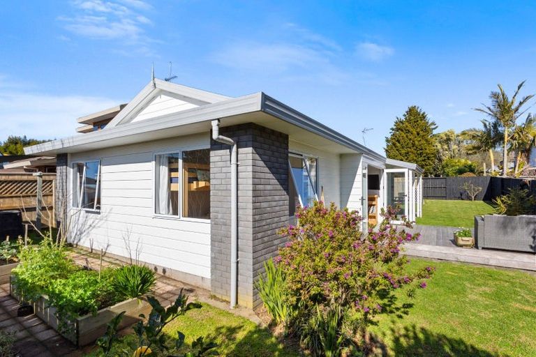 Photo of property in 10b Bayfair Drive, Mount Maunganui, 3116