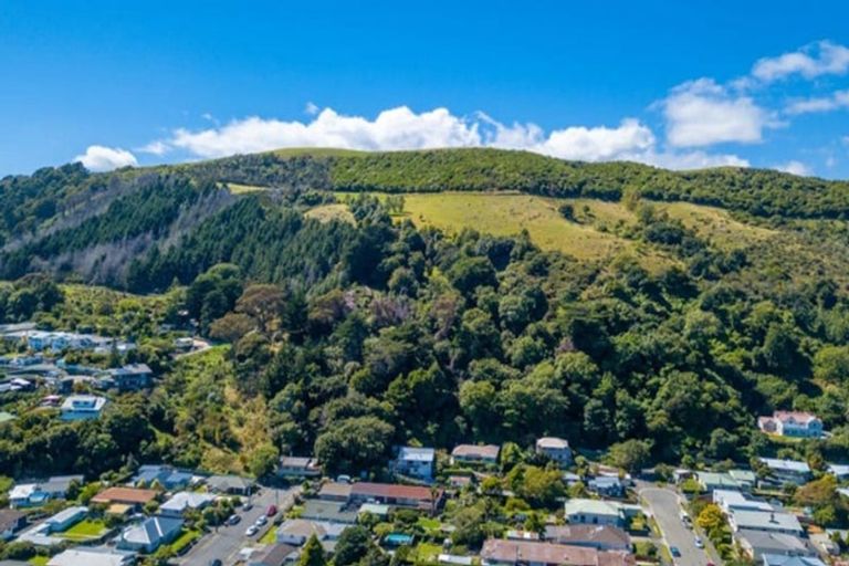 Photo of property in 101 Cambria Street, The Wood, Nelson, 7010