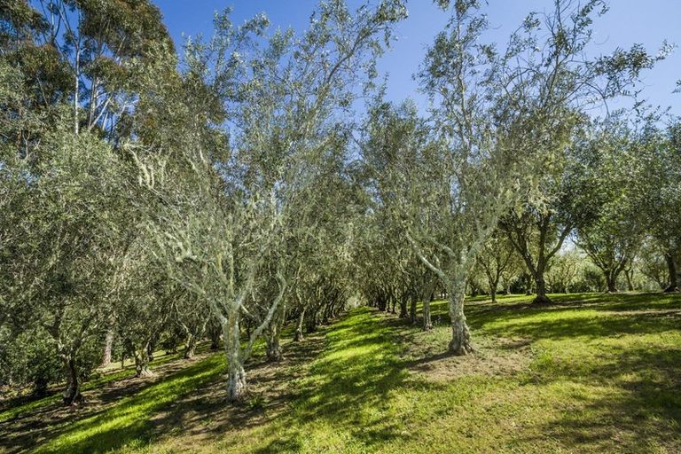 Photo of property in 102 Wright Road, Dairy Flat, 0794