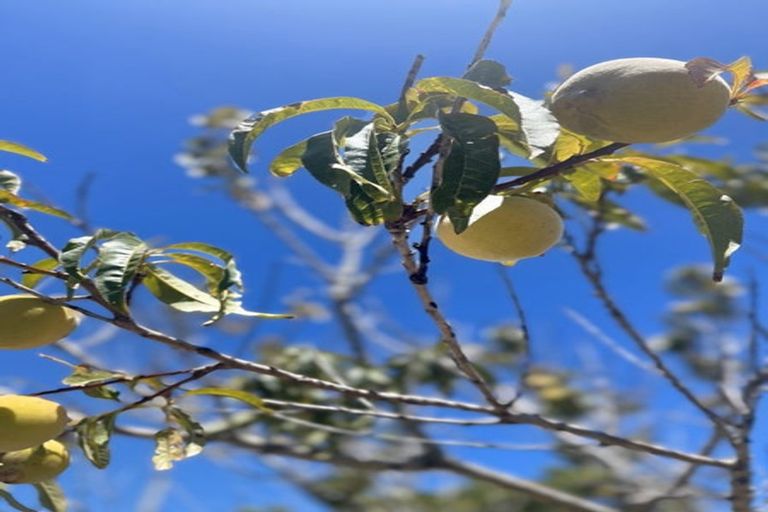 Photo of property in 94 Hibiscus Coast Highway, Red Beach, 0932