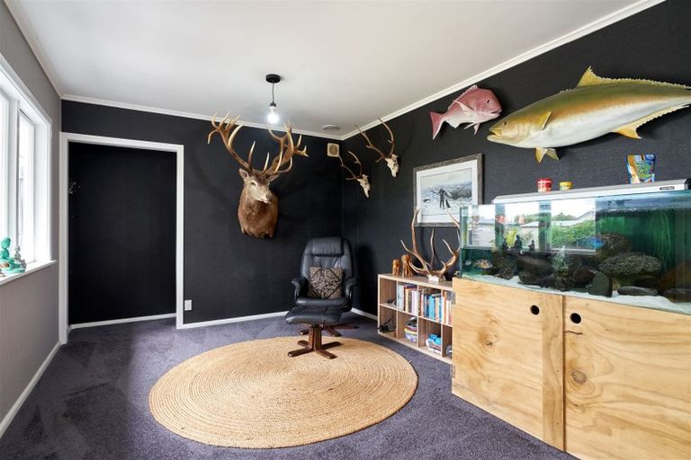 Photo of property in 61 Guppy Road, Greenmeadows, Napier, 4112