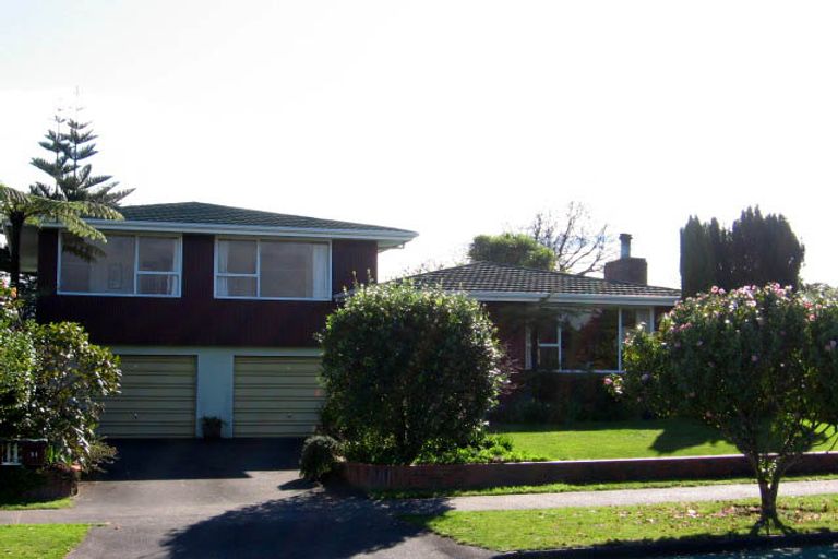 Photo of property in 31 Dittmer Drive, Awapuni, Palmerston North, 4412