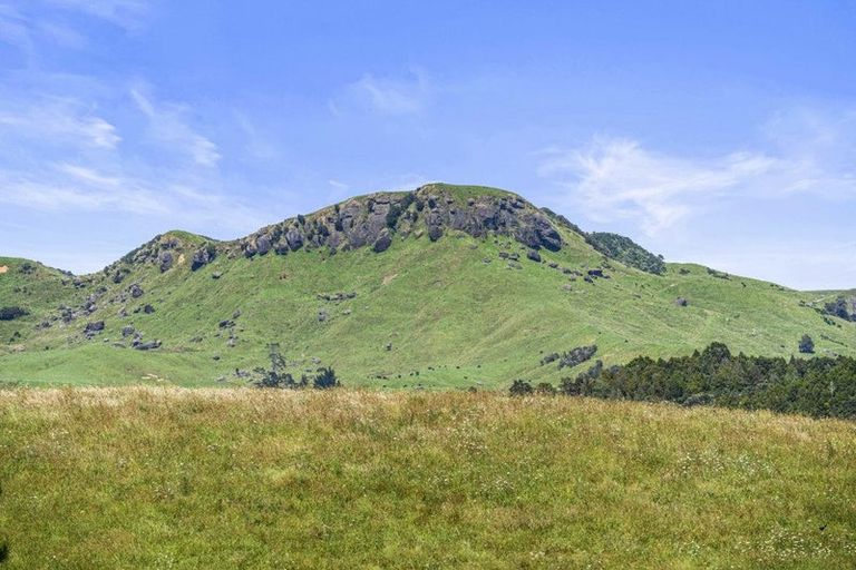 Photo of property in 113 Wayby Station Road, Wellsford, 0972