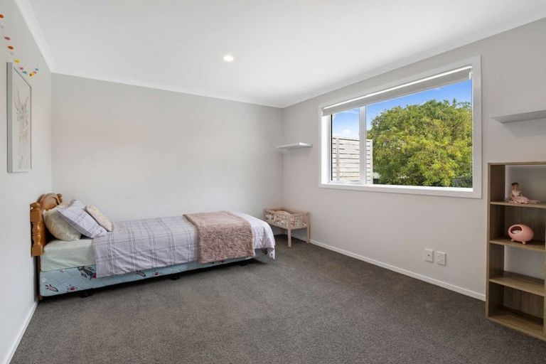 Photo of property in 113 Stanford Street North, Ashhurst, 4810