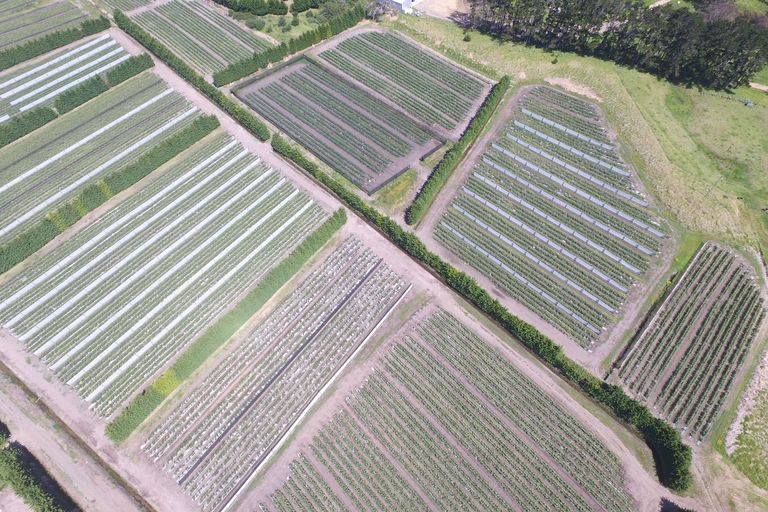 Photo of property in 3167 State Highway 1, Pukenui, Kaitaia, 0484