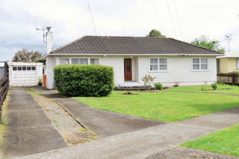 Photo of property in 16 Bledisloe Street, Levin, 5510