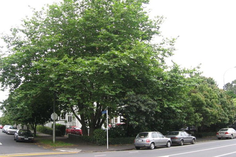 Photo of property in 323b Mount Eden Road, Mount Eden, Auckland, 1024