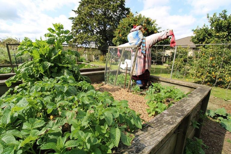 Photo of property in 11 Miro Street, Matamata, 3400