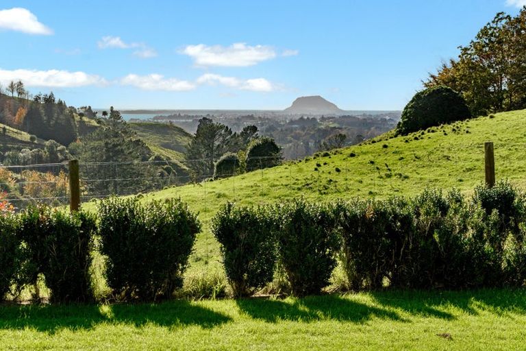 Photo of property in 164c Crawford Road, Wairoa, Tauranga, 3171