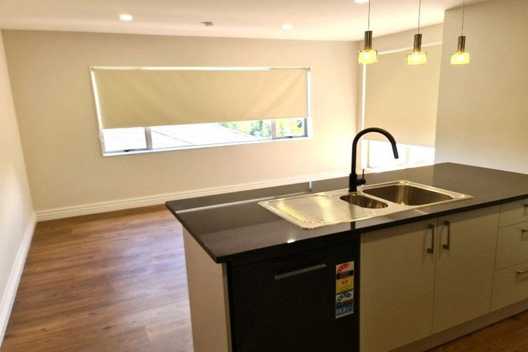 Photo of property in 17c Balmain Road, Birkenhead, Auckland, 0626