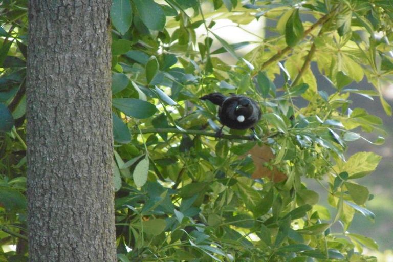 Photo of property in 498 Paratu Road, Richmond Downs, Walton, 3475