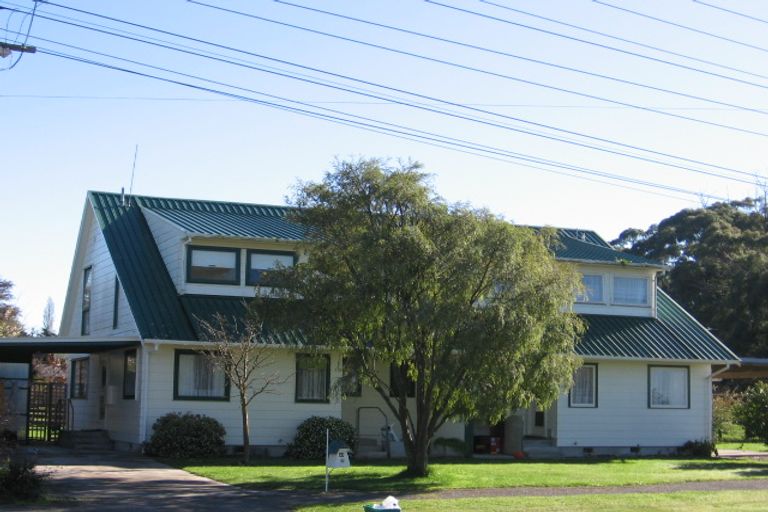 Photo of property in 45 Oak Street, Masterton, 5810