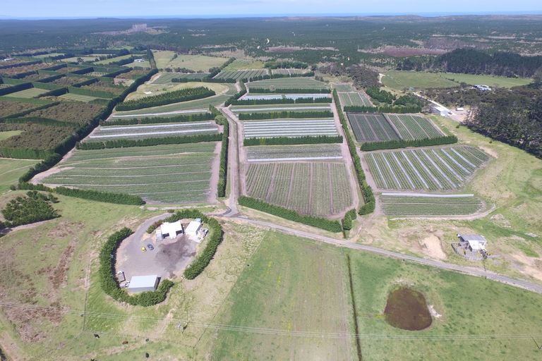 Photo of property in 3167 State Highway 1, Pukenui, Kaitaia, 0484