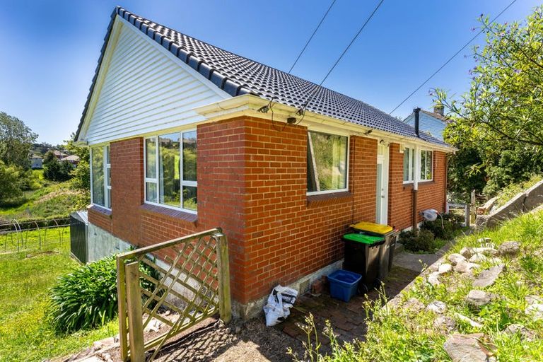Photo of property in 20 Panmure Avenue, Calton Hill, Dunedin, 9012