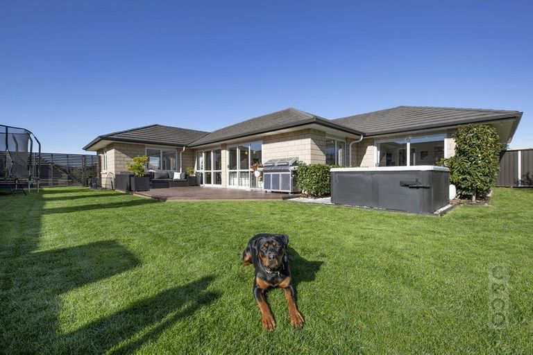 Photo of property in 14 Pohutukawa Parade, Riverhead, 0820