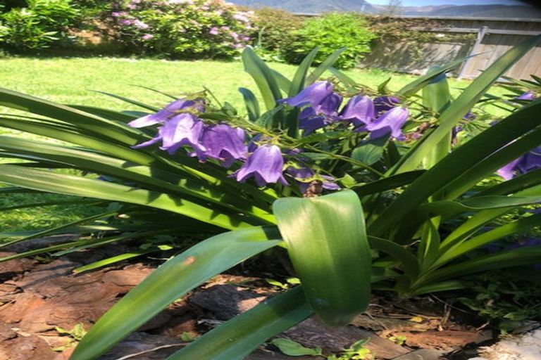 Photo of property in 23 Springs Junction, Springs Junction, Reefton, 7895