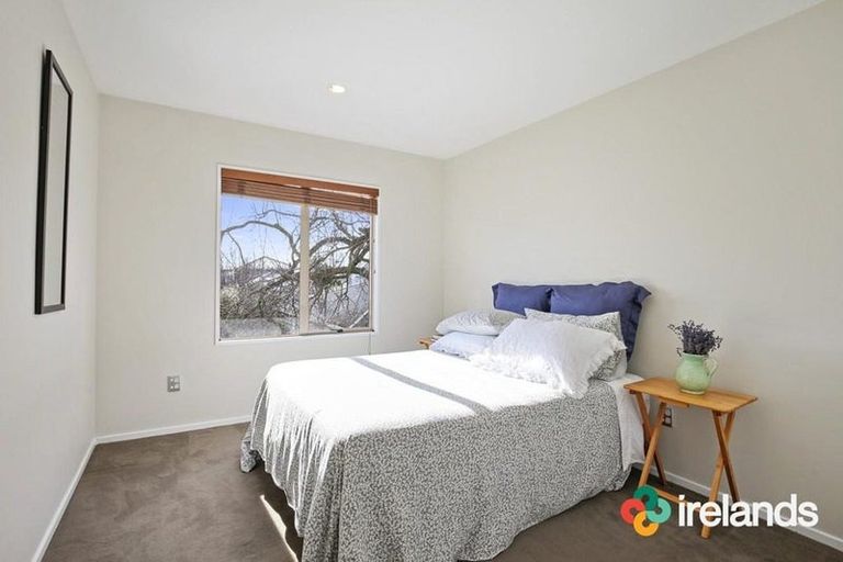 Photo of property in 25b Springfield Road, St Albans, Christchurch, 8014