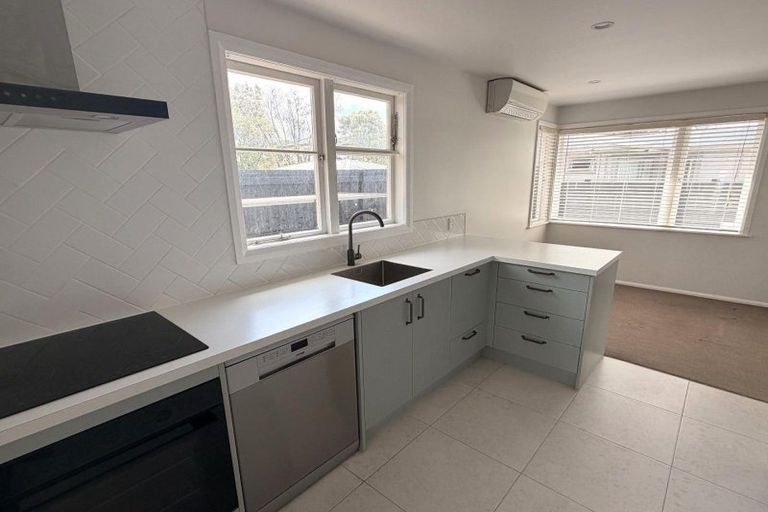 Photo of property in 19 Bond Street, Hokowhitu, Palmerston North, 4410