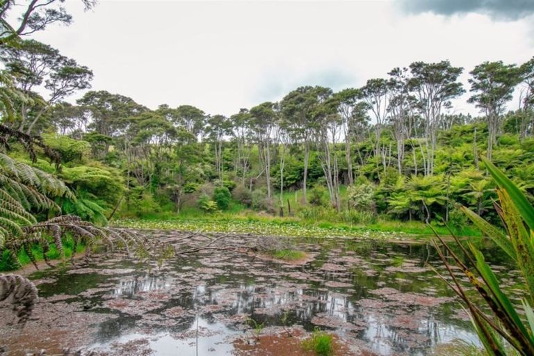 Photo of property in 243 Clevedon Kawakawa Road, Clevedon, Papakura, 2585