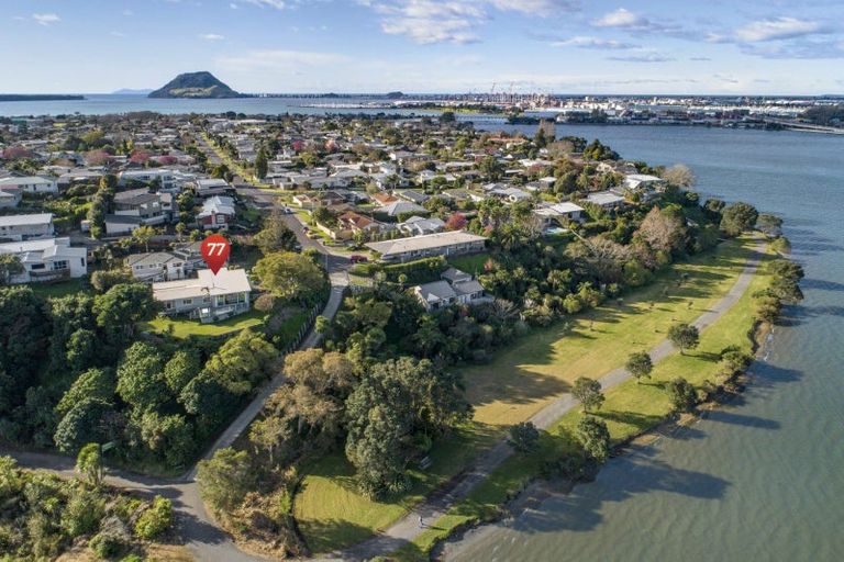 Photo of property in 77 Goods Road, Otumoetai, Tauranga, 3110