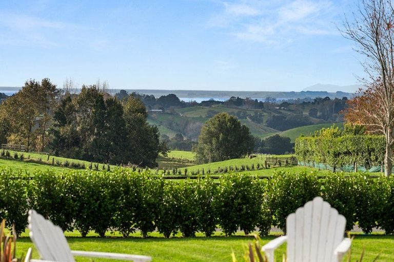 Photo of property in 34 Sagewood Road, Whakamarama, Tauranga, 3180