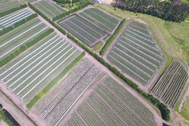 Photo of property in 3167 State Highway 1, Pukenui, Kaitaia, 0484