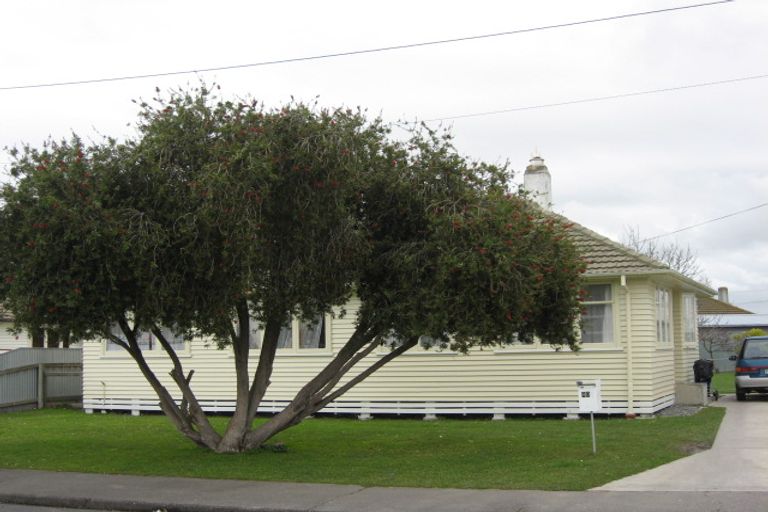 Photo of property in 804 Bledisloe Street, Raureka, Hastings, 4120