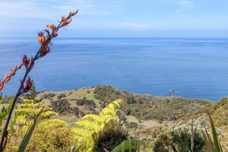 Photo of property in 170 Radar Road, Whenuakite, Whitianga, 3591